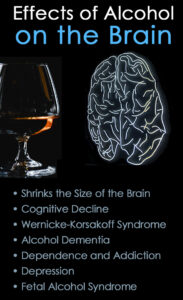 Effects of Alcohol on the Body and Brain - Oro House Recovery