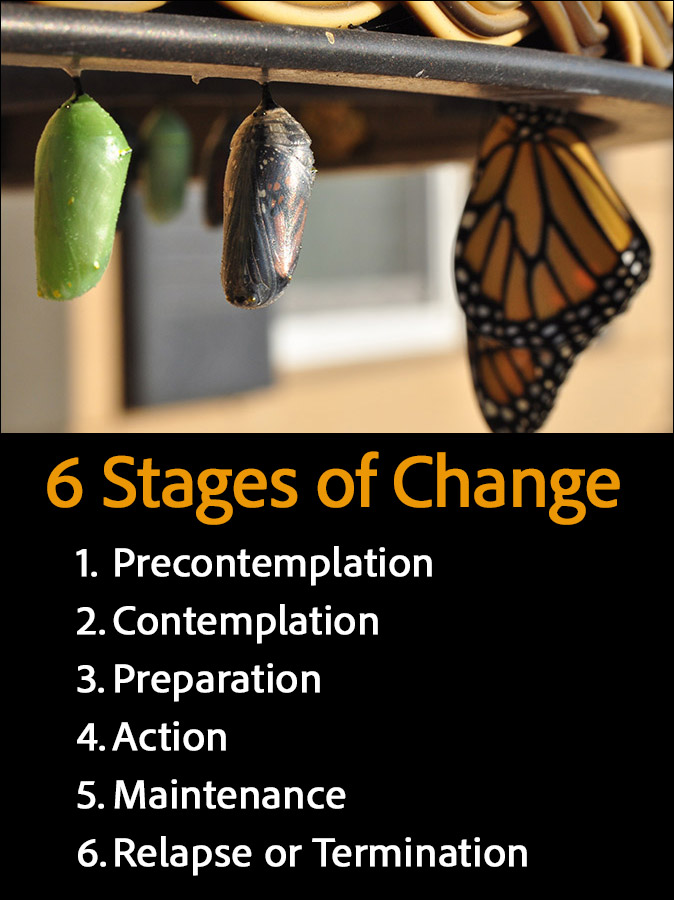 6 Stages of Change